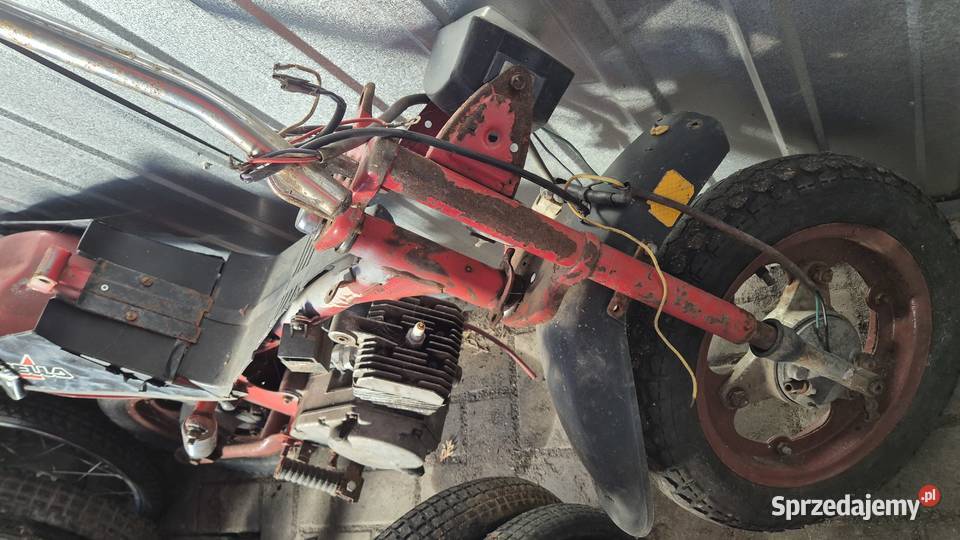 Motorynka stella Hryniewicze