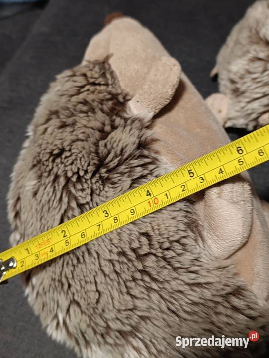 rodzina jeży pluszowa zabawka maskotka pluszak wielkopolskie