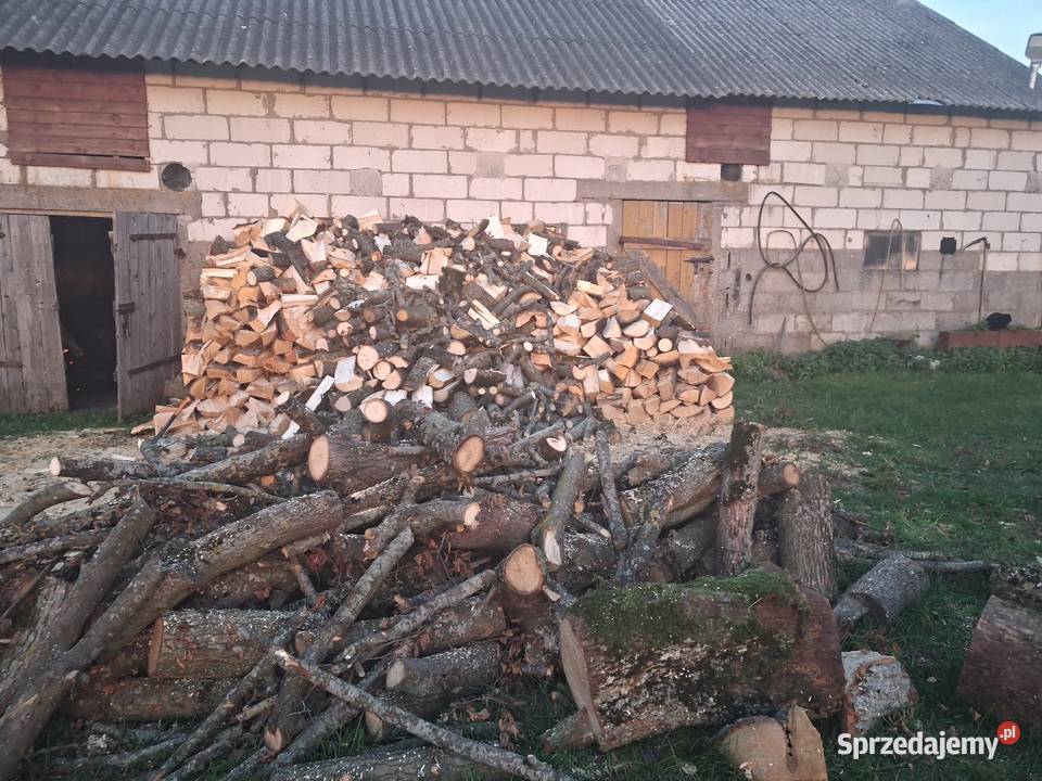 Piłowanie Rabanie drewna ogród