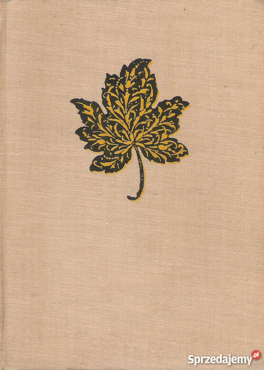 W pustyni i w puszczy H Sienkiewicz Puławy