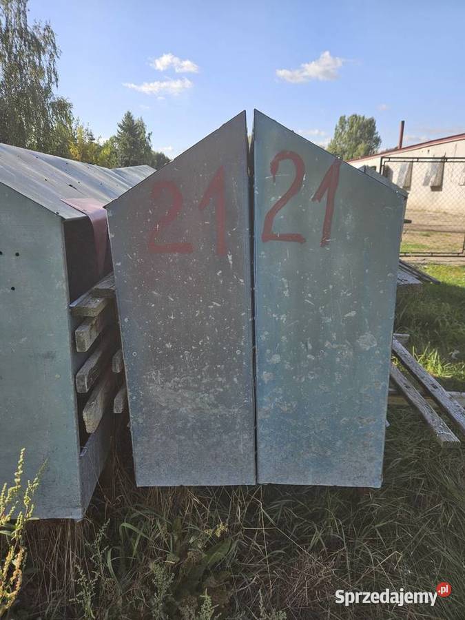 Gniazda kur wielkopolskie Wysokie