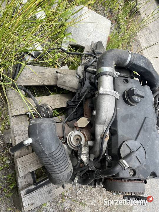 Silnik 19 TDI AWX z pompowtryskiwaczami Babica