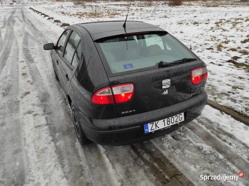 Seat Leon I 19 SDI bez turbo AQM 67hp 300 67KM zachodniopomorskie Koszalin
