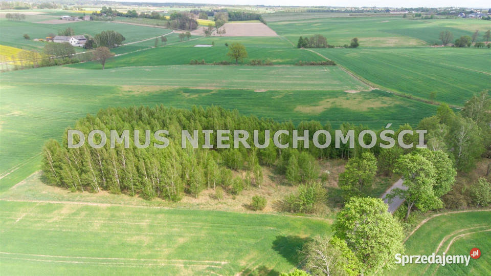 Działka Olsza 671m2