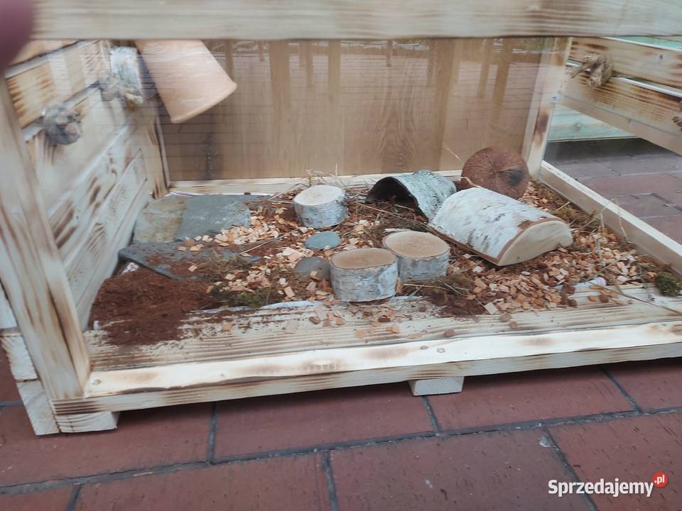 Terrarium gekona lamparciego żółwia kameleona