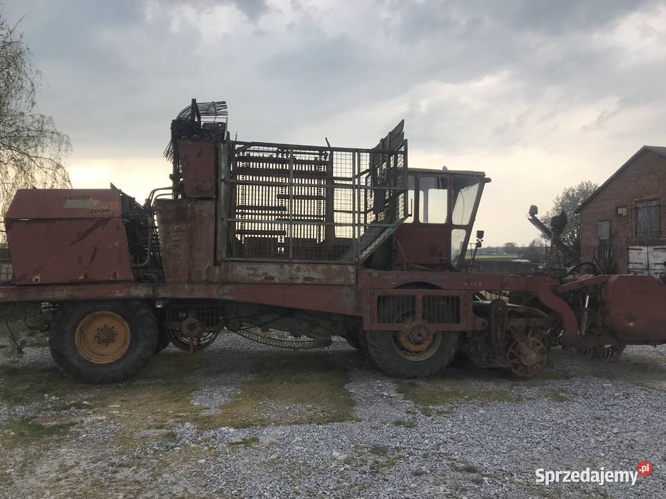 Kombajn buraczany stoll 6 rządkowy Krężnica Jara sprzedam