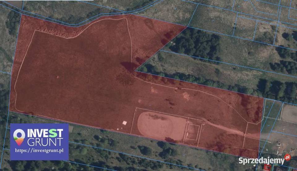 501 ha przetarg na dzierżawę gruntów rolnych Siemiany