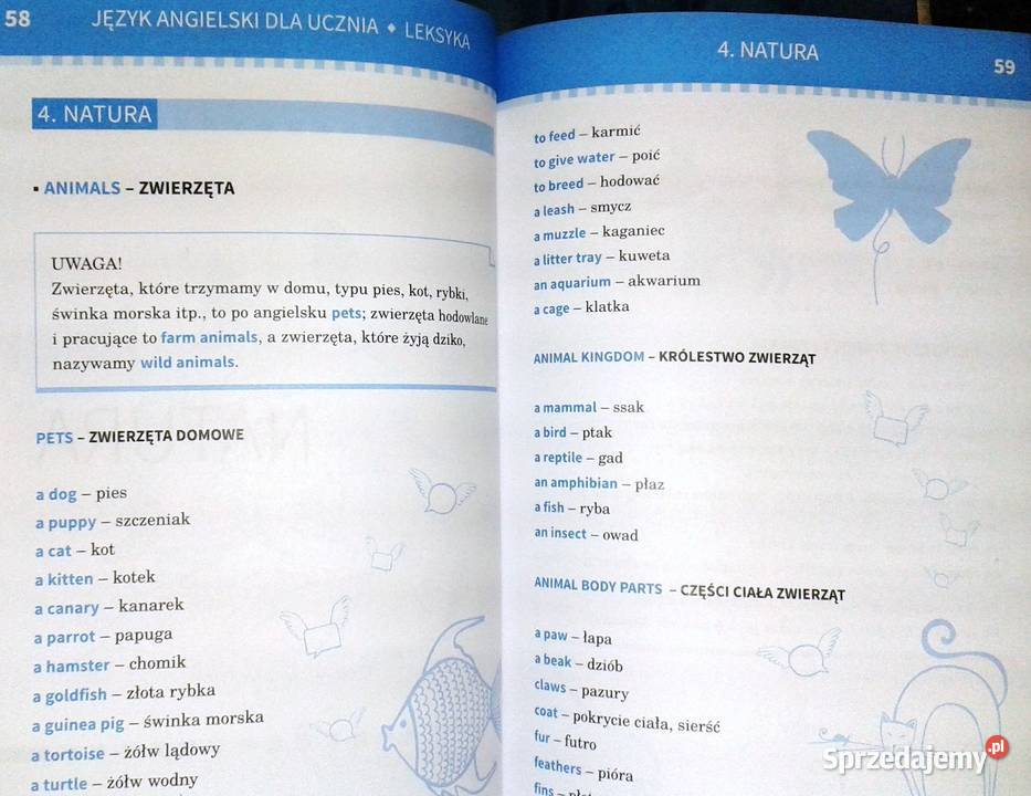 Język angielski ucznia Leksyka Joanna lubelskie Chełm sprzedam