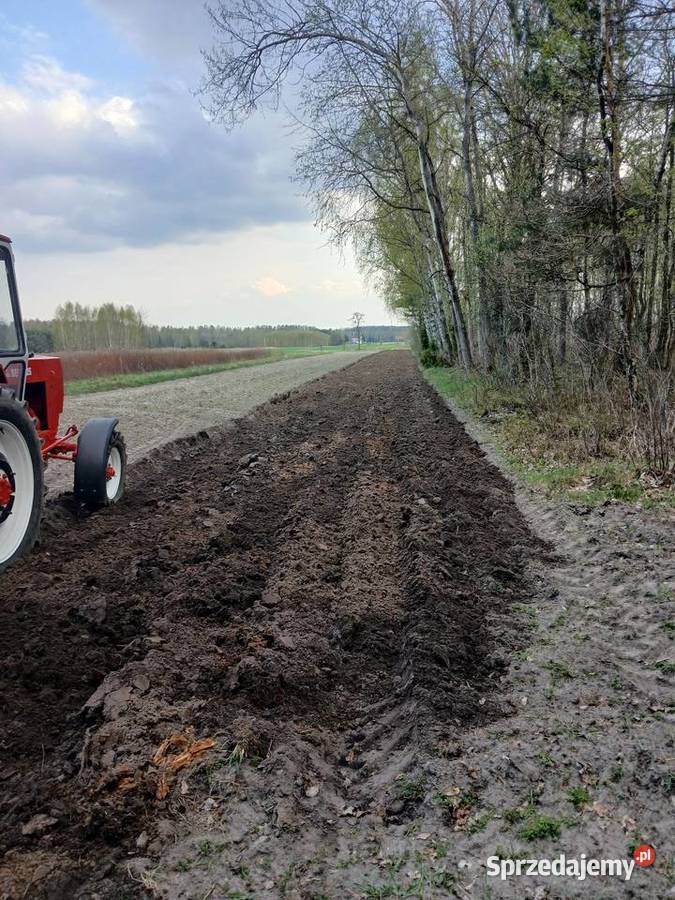 Pług 3 skibowy euro masz atlas super stan Mistów