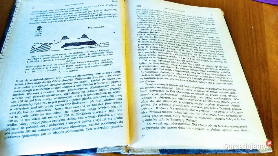 Mszaki Gór Stołowych Cz 1 Wątrobowce Hepaticae Gdańsk