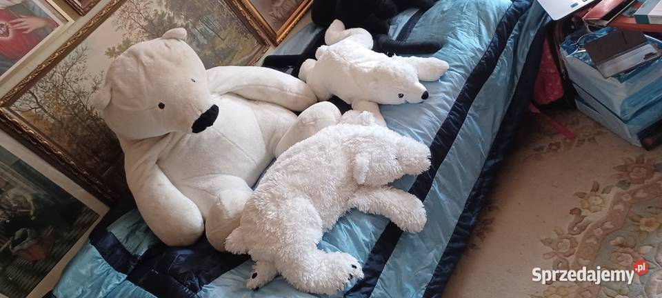 NIEDŻWIEDZIE POLARNE WIELKI CIĘŻKI MIĘKKI I 2 Poznań