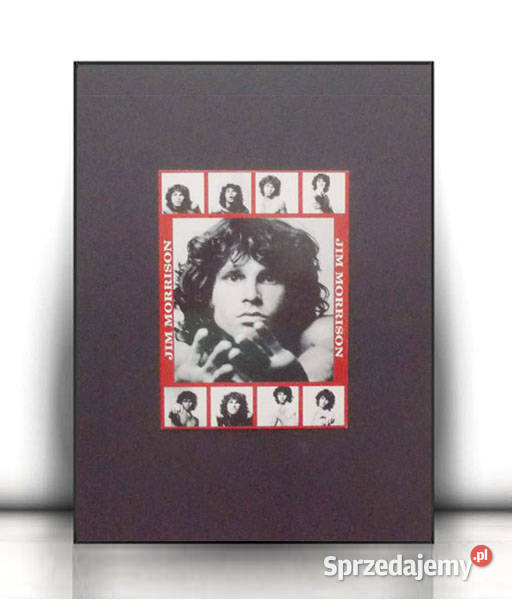the doors plakat A4 jim morrison plakat vintage sprzedam