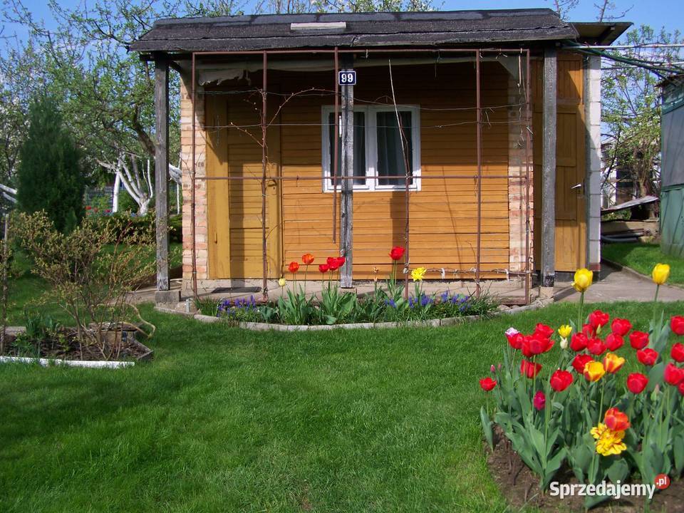 Ogródek działkowy działka rekreacyjna ROD Wiarus 405m2 lubuskie Wilkanowo