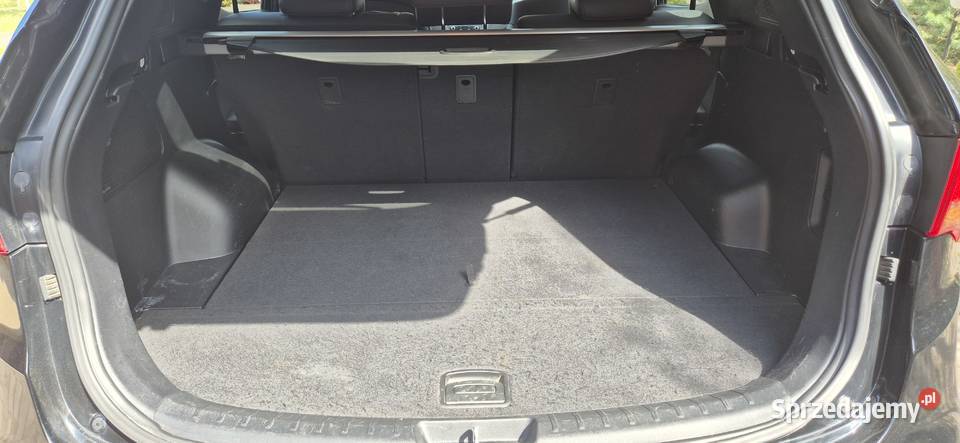 Hyundai SantaFE 20 CRDi 2WD Style pierwszy 159000km Dęba