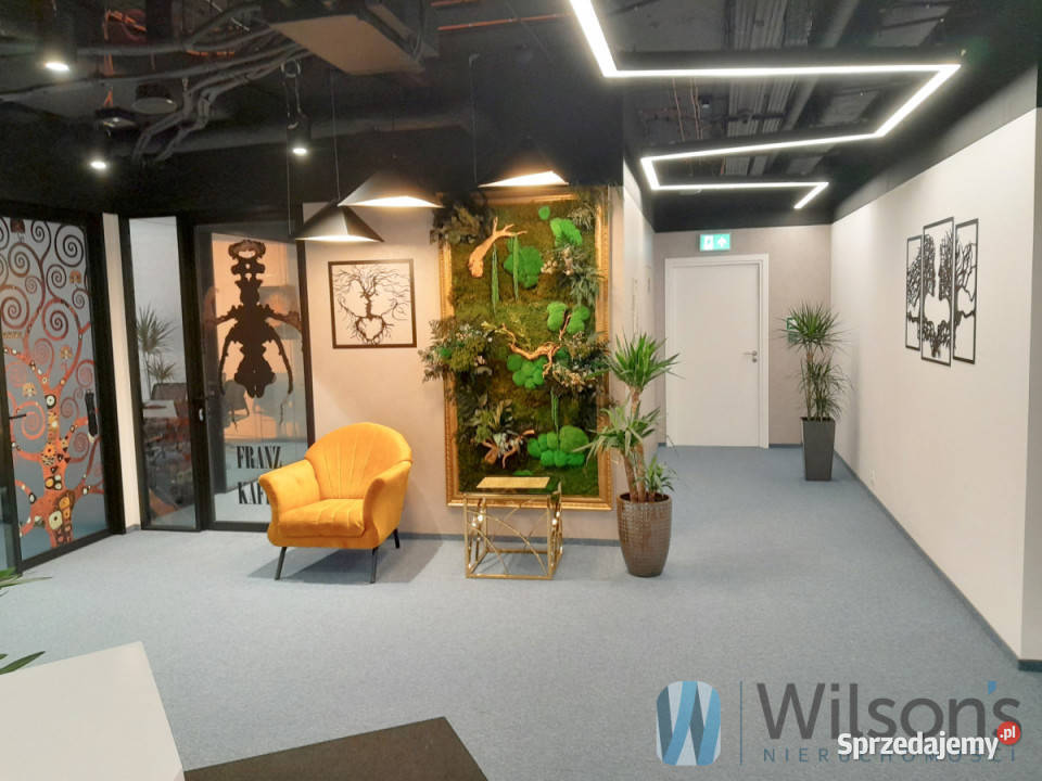 wynajmu lokalu Warszawa 250m2 Ilość pomieszczeń 21