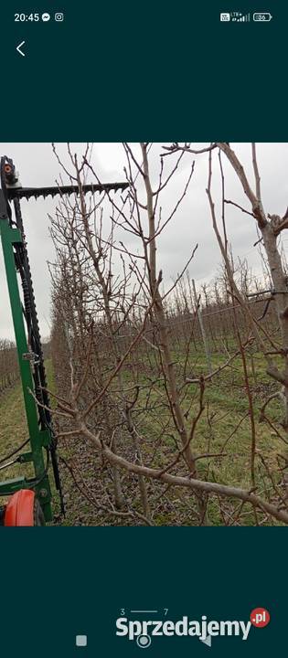 Listwa konturowa do cięcia sadu Sandomierz