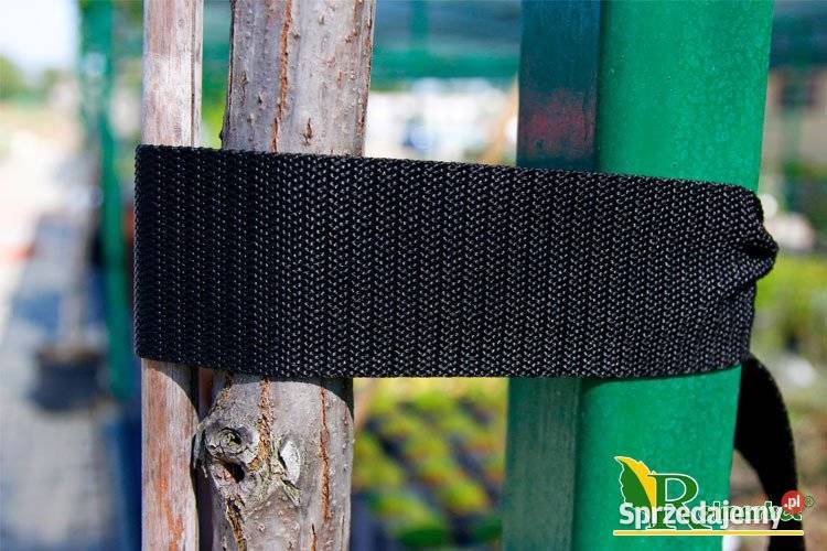 TAŚMA tkana OGRODNICZA do podwiązywania drzewek Cieśle