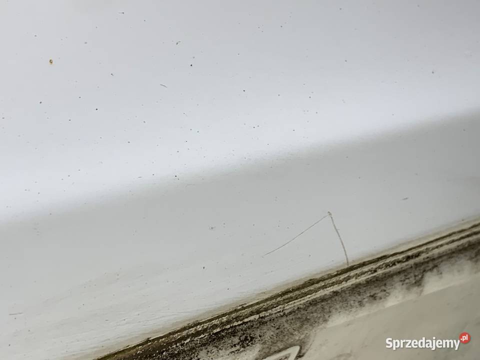 DRZWI TYLNE LEWE FORD TRANSIT CUSTOM I Bus osobowe