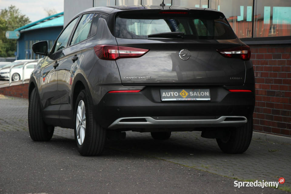 Opel Grandland X elektrochrom. lusterko wst. Mysłowice