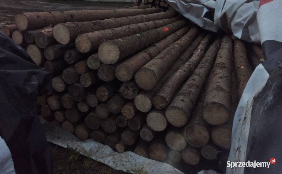 Stemple szalunkowe drewniane 461 sztuk 10 Dom i Ogród opolskie Grodków