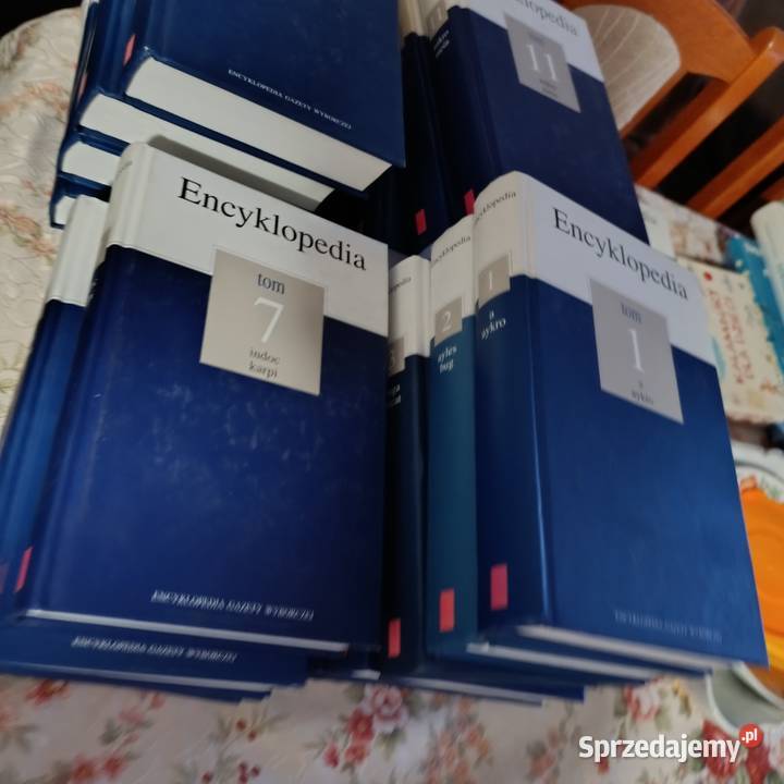 encyklopedia gazety wyborczej 20 tomów Poznań
