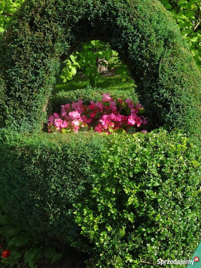 Sprzedam działkę rekreacyjną Janiska Kołobrzeg