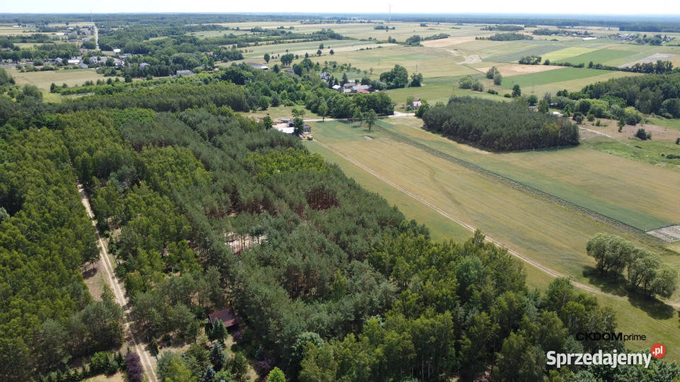 Działka z lasem na wyłączność aglomeracji 24.5m Młódnice