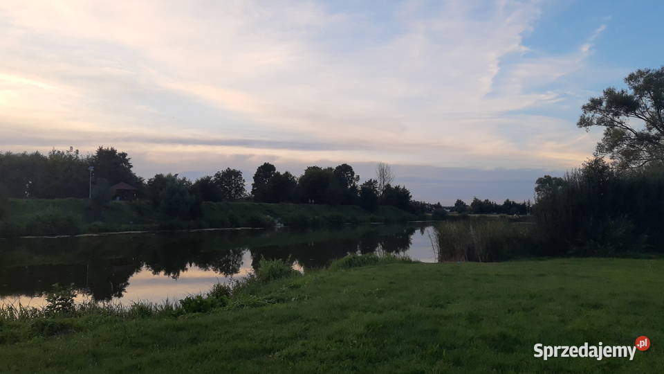 Działka budowlana Żłobizna 1163ara 275zł/m2 opolskie