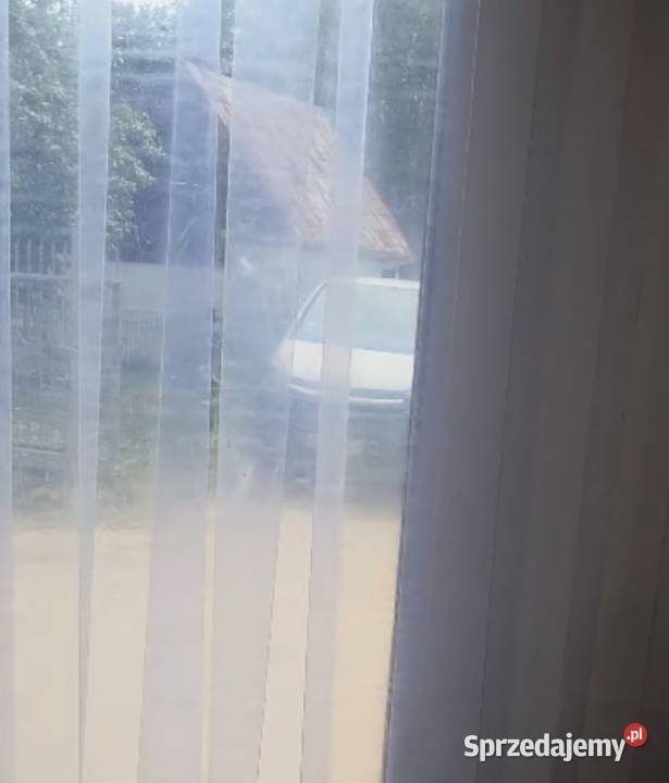 Kontyner chlodnie mroznia 20 stopni Ruda Śląska