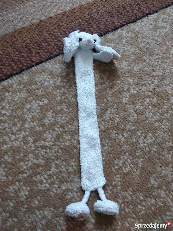 zakładka do książki Poznań