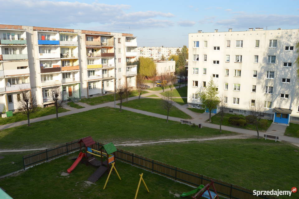 Płońsk Młodzieżowa Liczba pokoi 2