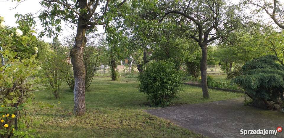 Ogródek działkowy działka ROD Majówka Legnica