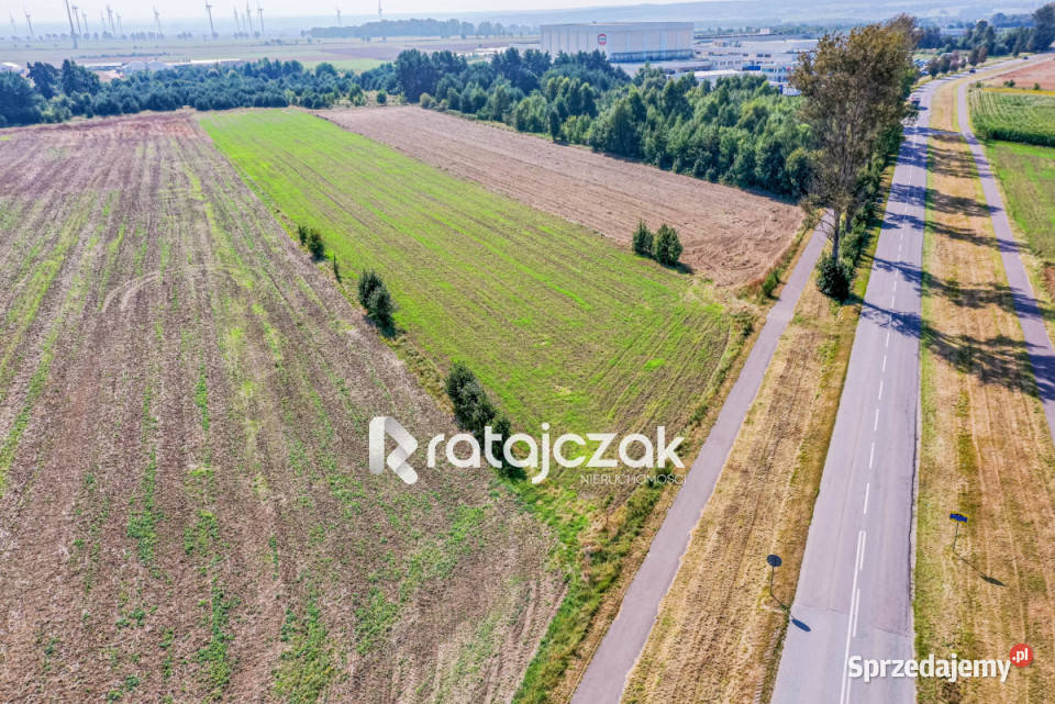sprzedaży gruntu 9632m2 Łebcz Dr Augusta