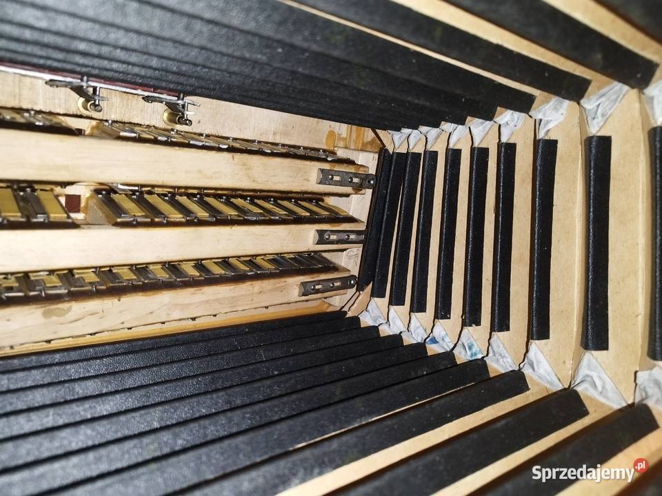 Akordeon muza 80 Kultura i Rozrywka opolskie Opole