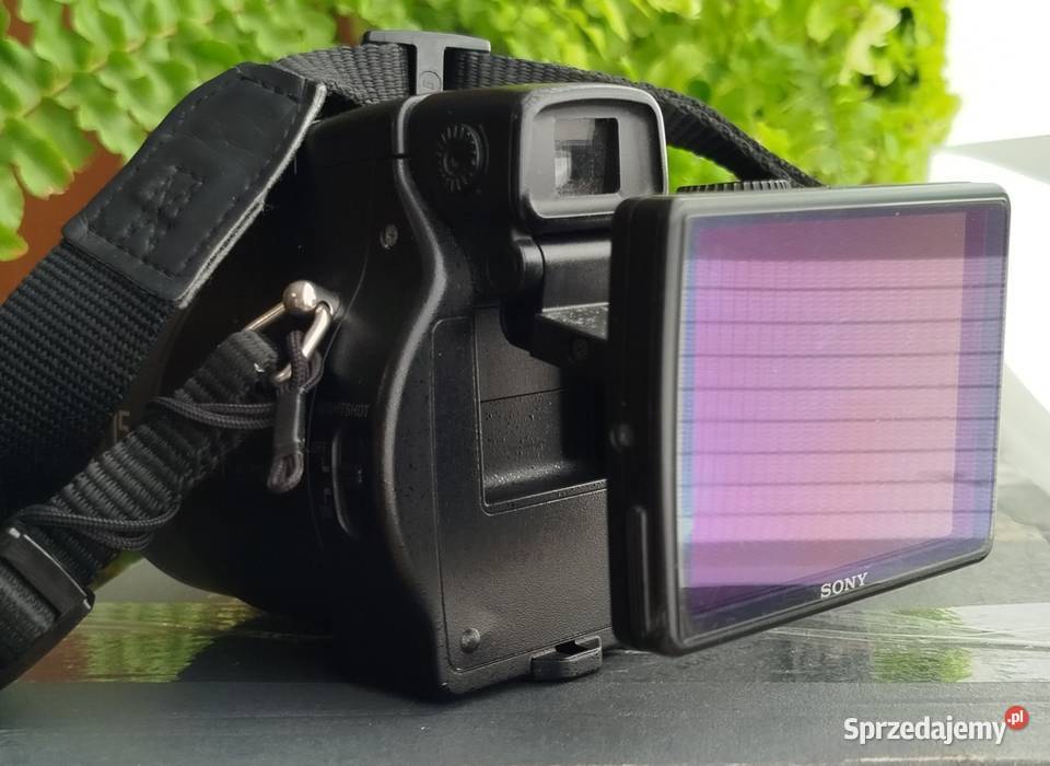 Sony Cybershot DSCH9