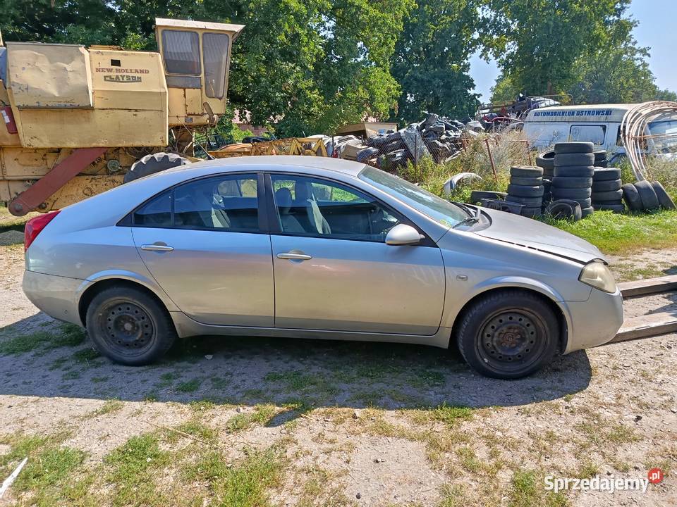 Nissan Primera 22 93 kW 2003 r dawca części Szklarka Myślniewska