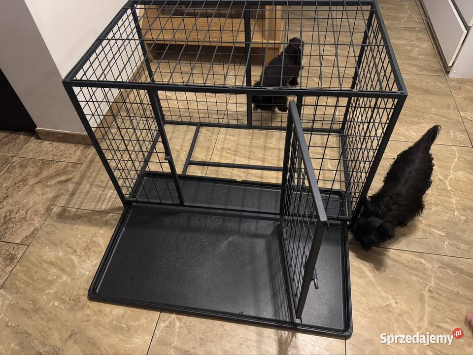 Klatka kennelowa mocna spawana malowana Lubanie