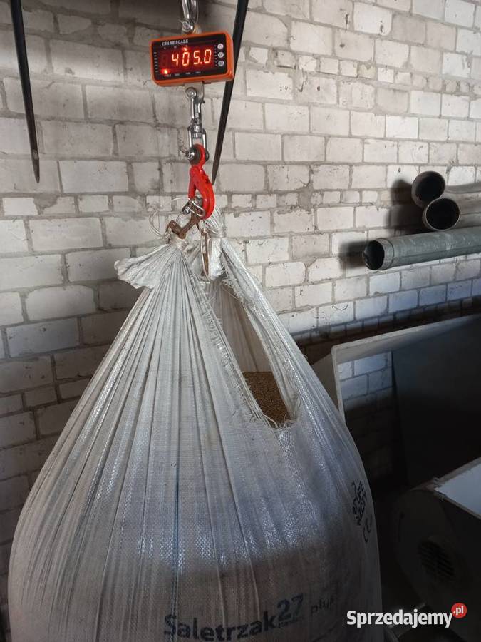 Żyto w bigbag Stara Rokitnia