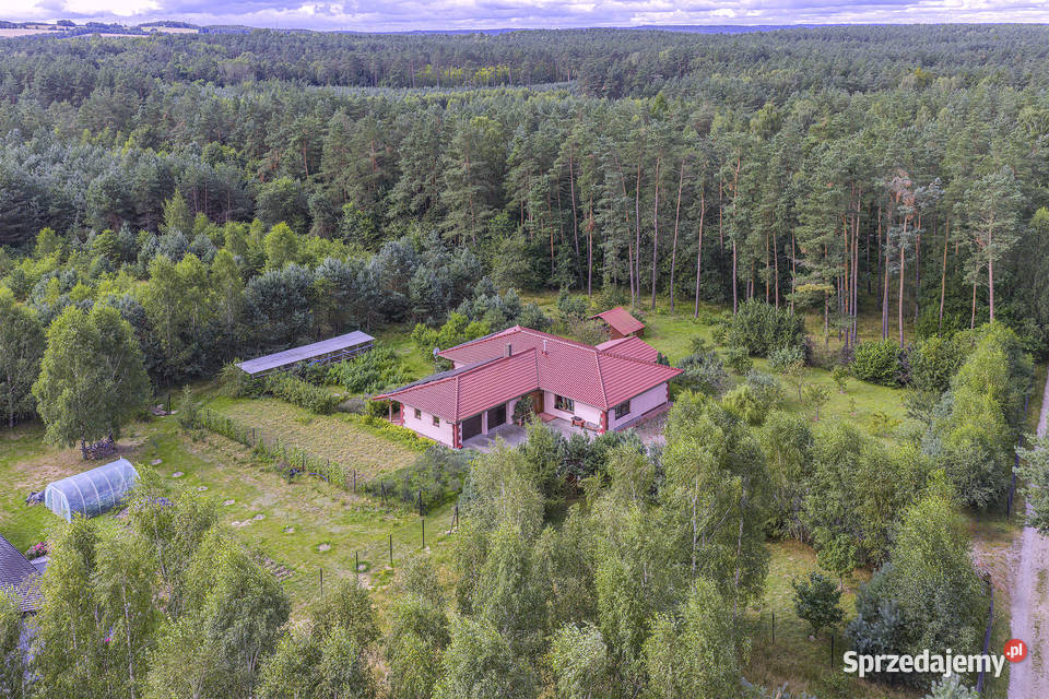 Dom na działce 7500m2 w Dąbrówce k Wejherowa 7304zł/m2 pomorskie