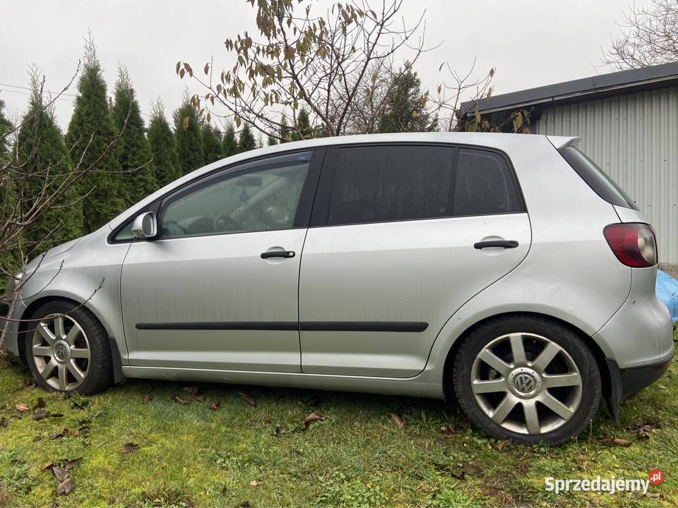 Vw Golf V Plus 19 TDI BKC LA7W części Rok produkcji 2005 Główczyce