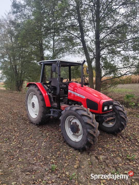 Massey Ferguson 4245 Maków Mazowiecki