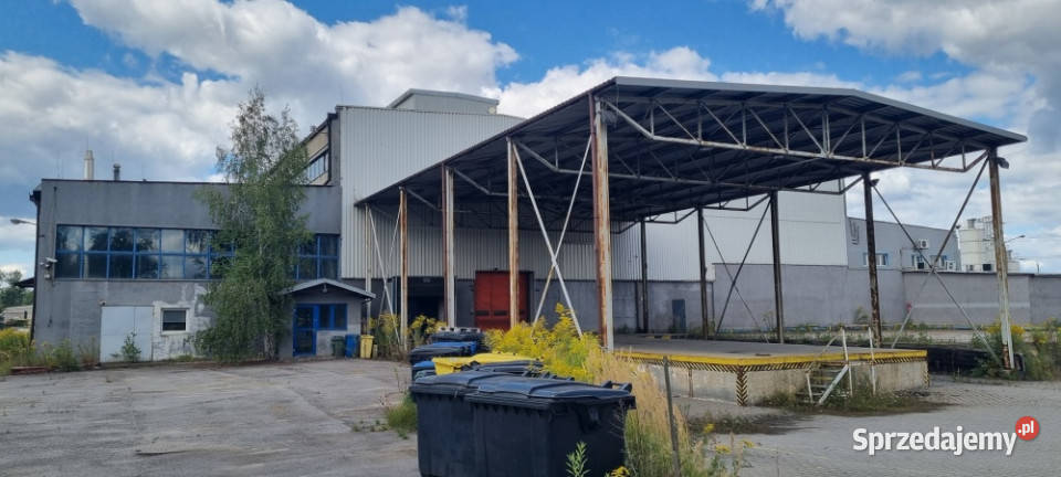 Syndyk sprzeda przedsiębiorstwo w Tychach Tychy