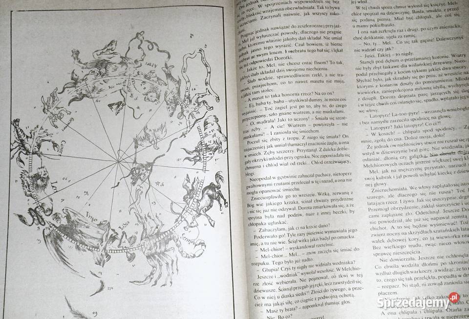 Muszkieterowie znad Wisły Janusz Rychlewski lubelskie Chełm