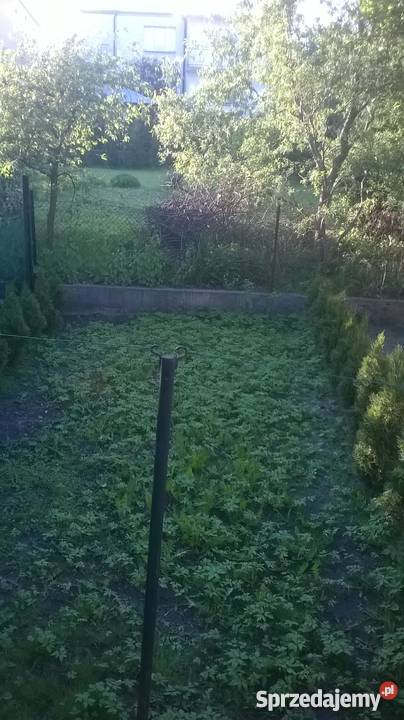 Do sprzedania dom piętrowybliźniak mieszkalny Stalowa Wola