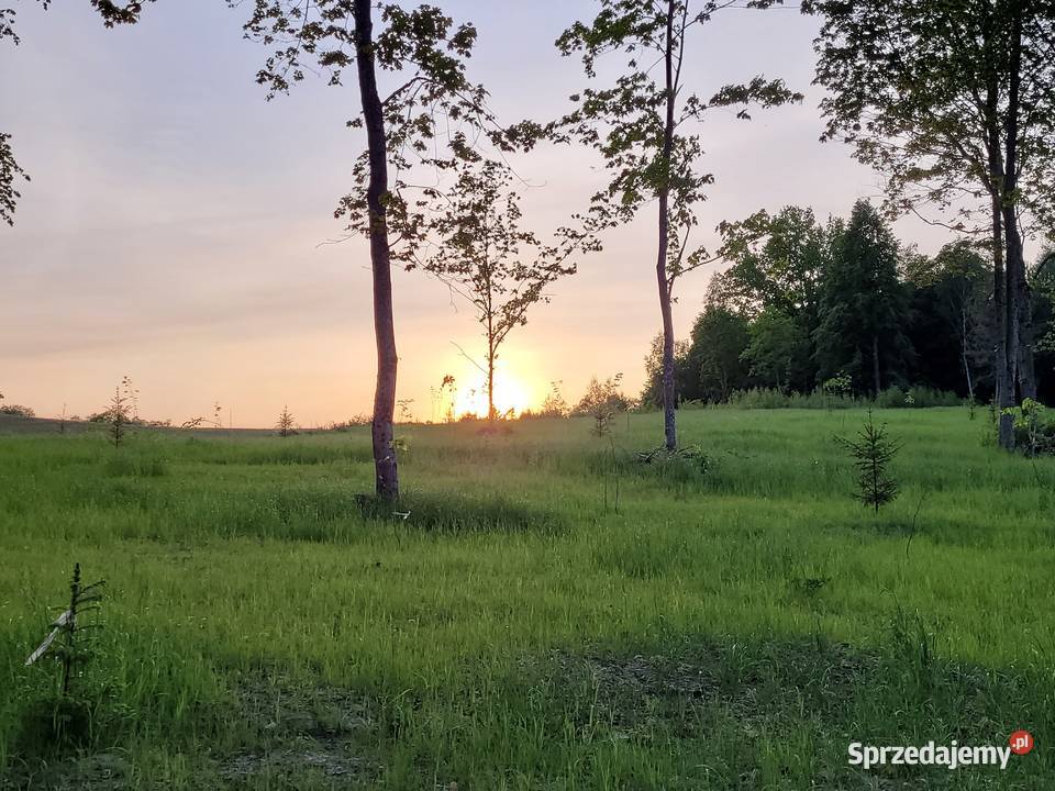 Działka Budowlana z Linią Brzegową Pluszkiejmy warmińsko-mazurskie