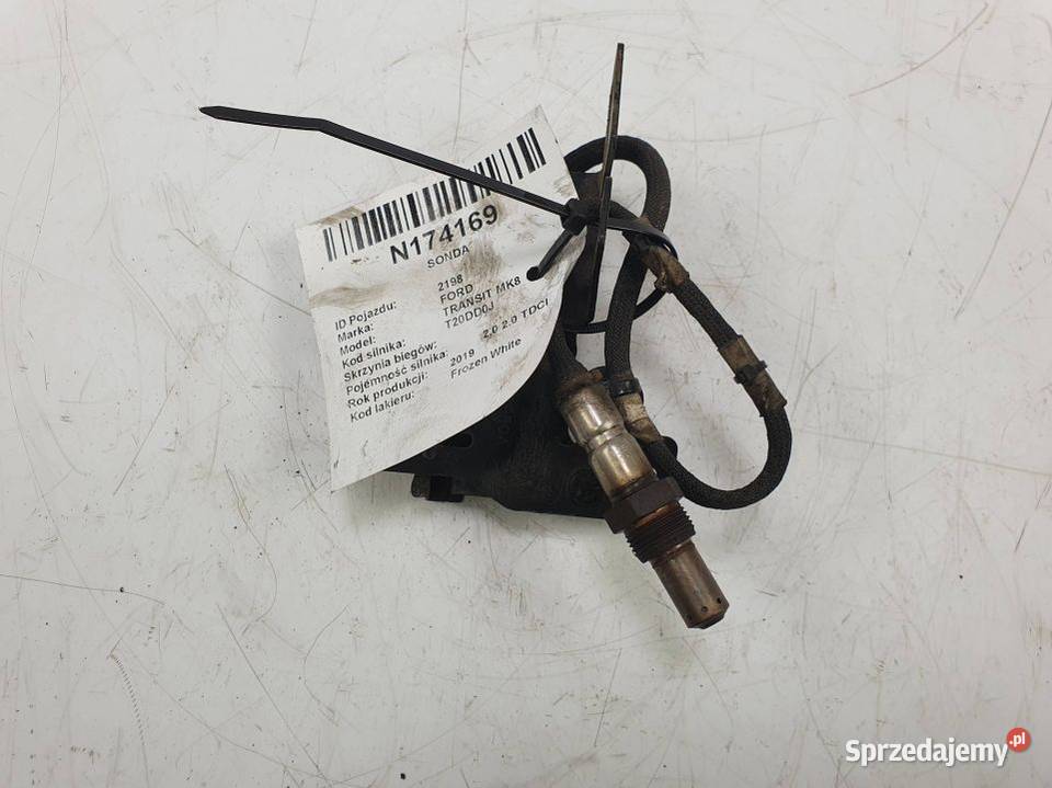 SONDA FORD TRANSIT MK8 1259018010 kujawsko-pomorskie Lipno