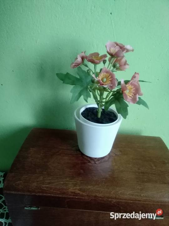 Fejka sztuczna roślina doniczkowa Łódź