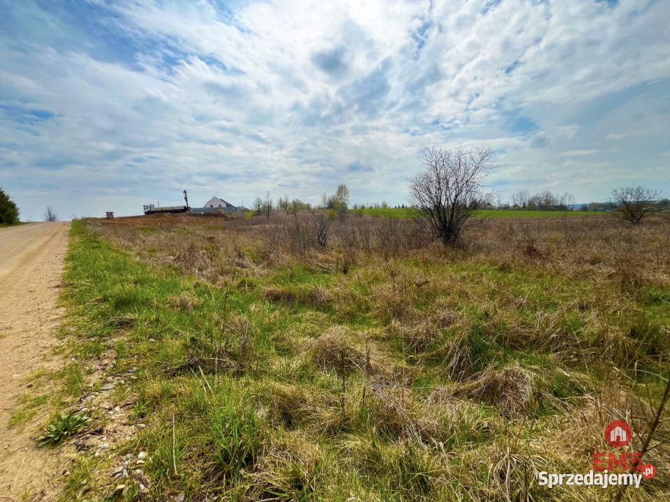 Działka Nowe Aleksandrowo 13000m2 Sprzedaż