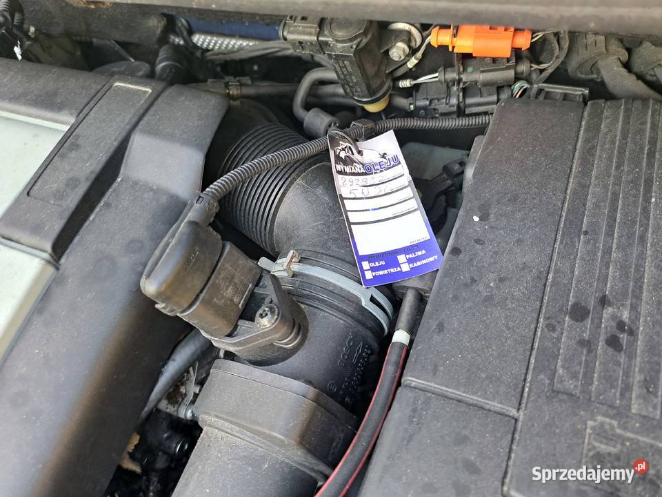 Sprzedam Volkswagen Golf Plus 2007 diesel opolskie Otmuchów