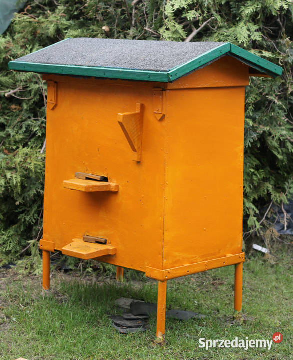 Ule z pszczołami Dziechciniec sprzedam